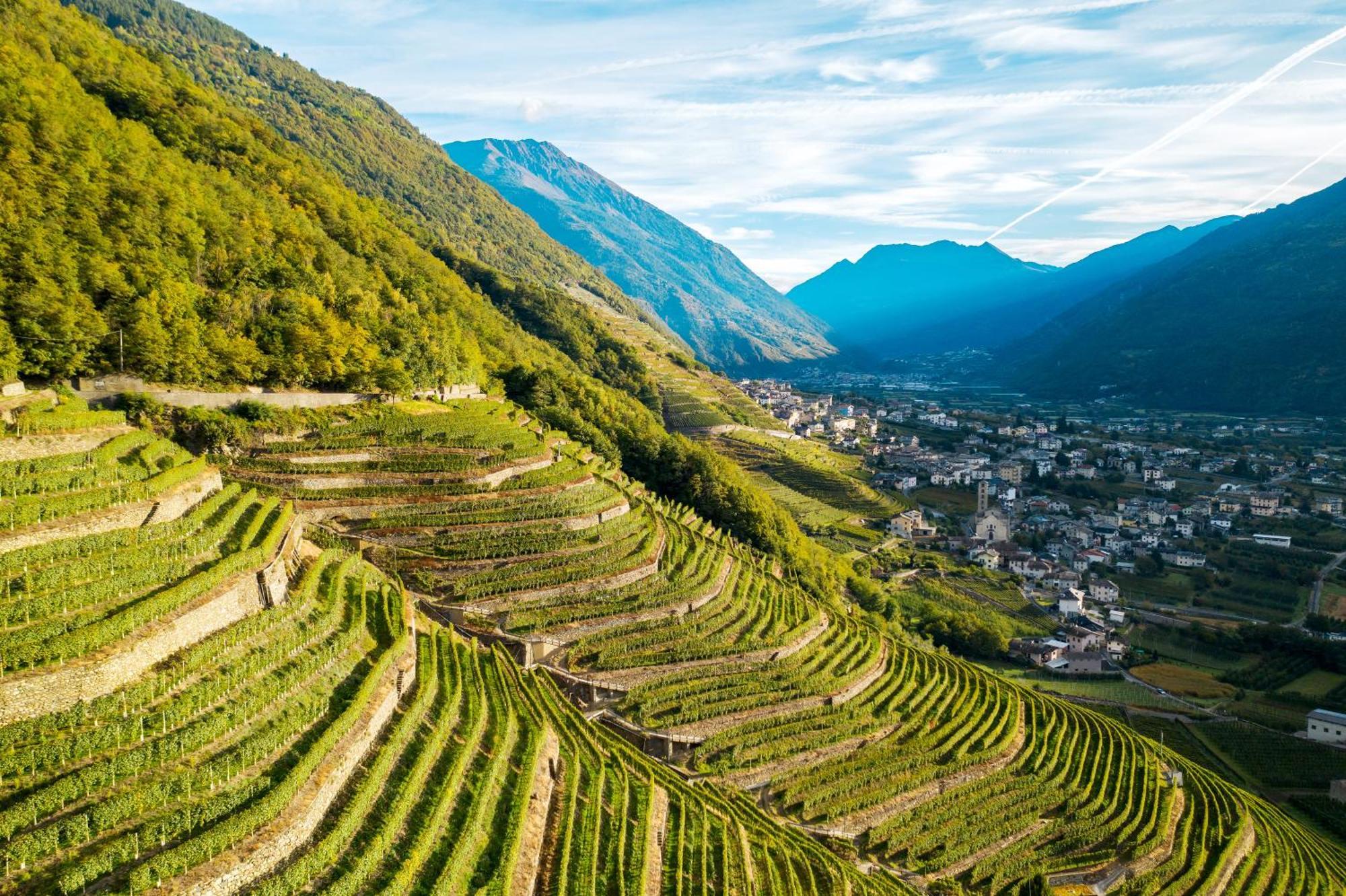 Agriturismo B&B Caffe E Vino Sondrio Zewnętrze zdjęcie